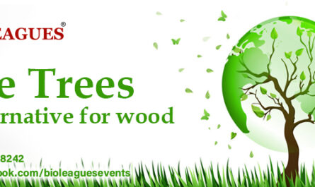 Save Trees – An alternative for wood